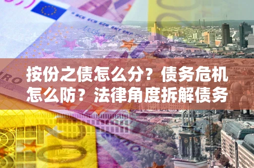 北京按份之债怎么分？债务危机怎么防？法律角度拆解债务分配与风险自保指南