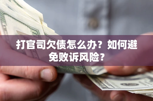 北京打官司欠债怎么办？如何避免败诉风险？