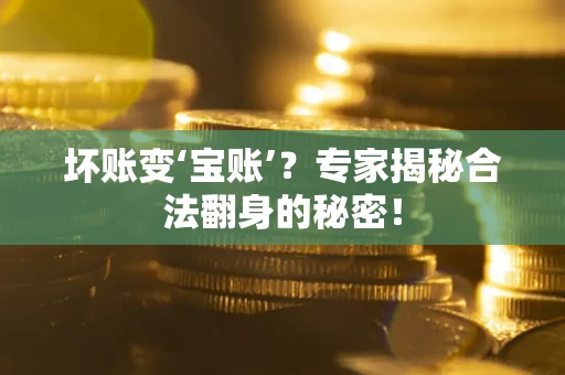 北京坏账变‘宝账’？专家揭秘合法翻身的秘密！