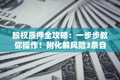北京股权质押全攻略：一步步教你操作！附化解风险3条自救法则