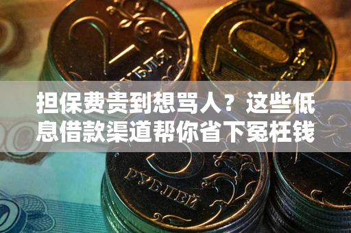 北京担保费贵到想骂人？这些低息借款渠道帮你省下冤枉钱