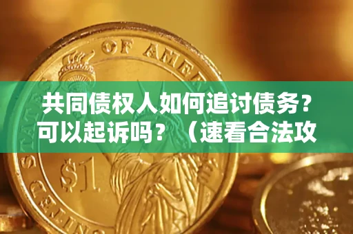 北京共同债权人如何追讨债务？可以起诉吗？（速看合法攻略）